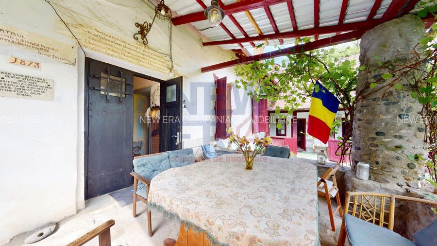 CONACUL GEORGE STEPHANESCU - 7