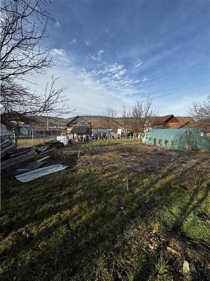 Casa Batraneasca+ Teren Rupea - 5