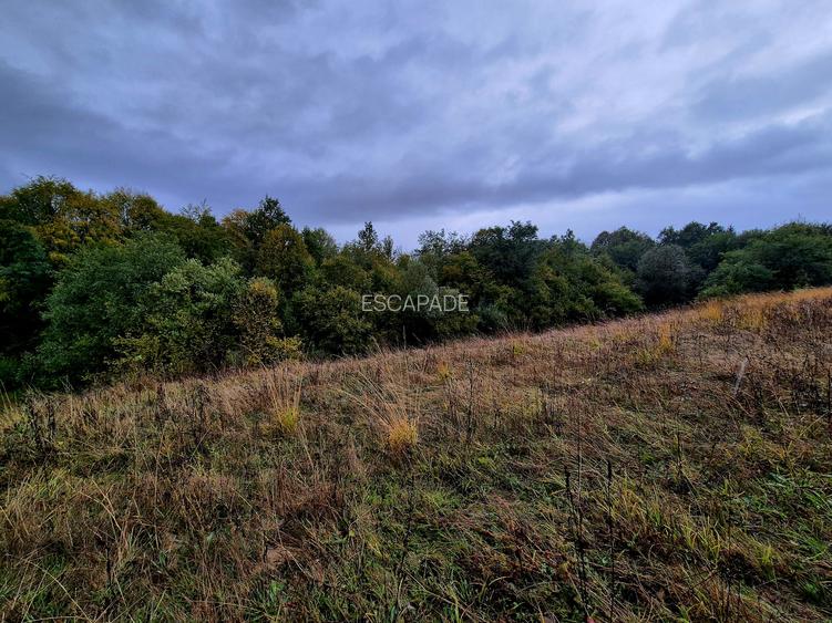 Comision 0%, teren extravilan 12497 mp Sinca Noua - 20