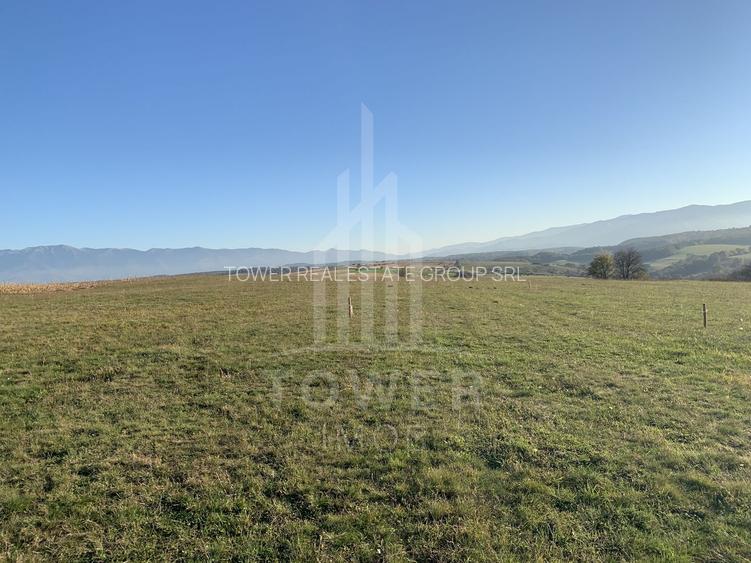 Teren pentru constructie cabana in Dealul Daii-parcele de 650 mp - 2