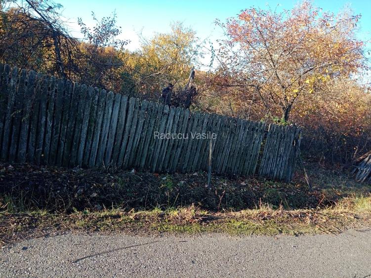 Vînd teren in Cuca Arges Loc Bălțata  - 9