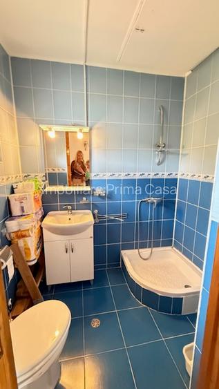 BAIA SPRIE - spre Cavnic Vila D+P+E 168mp + anexa cu teren 1526mp! - 20