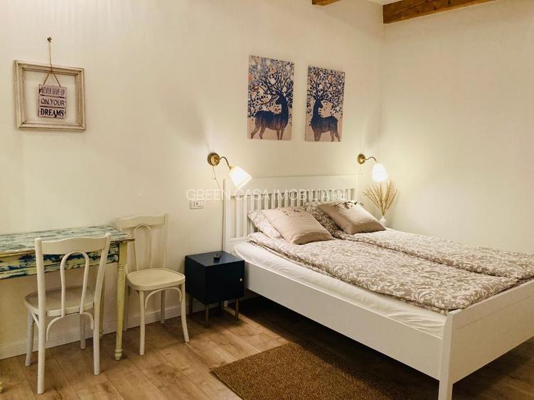 Studio modern de închiriat, str. Horea - 2