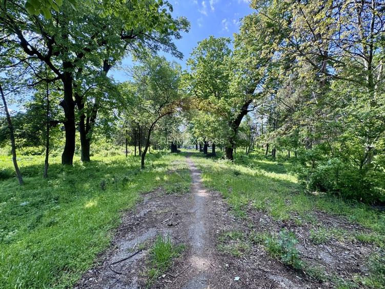 DOMENIU EXCLUSIVIST DE VANZARE – URLATI, PRAHOVA - 2
