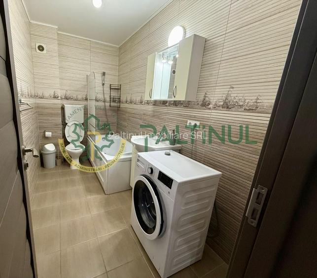 Apartament 1 camera de inchiriat Sibiu - 7