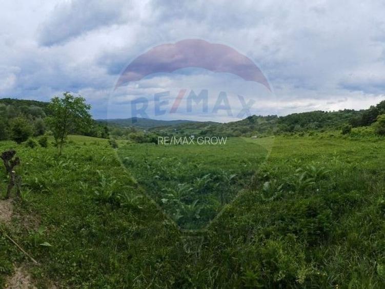 Teren 11,935mp Margineni / Strada Dubas - 3