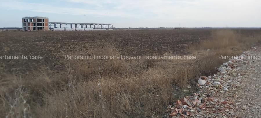 Terenuri intravilane de vanzare Focsani ,4,5 Ha Focsani - 28