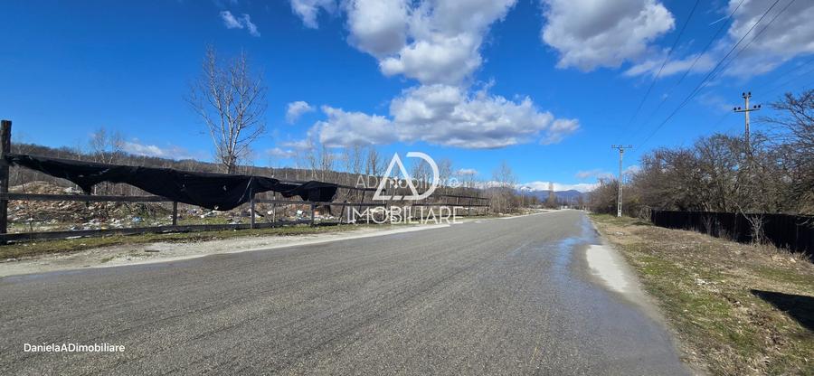 Teren Intravilan de vânzare 12.771 mp – zonă industrială Bârsești - 4