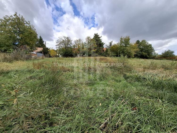 Teren intravilan cu Puz si priveliște deosebită, spre Cetatea Cisnădioara - 10