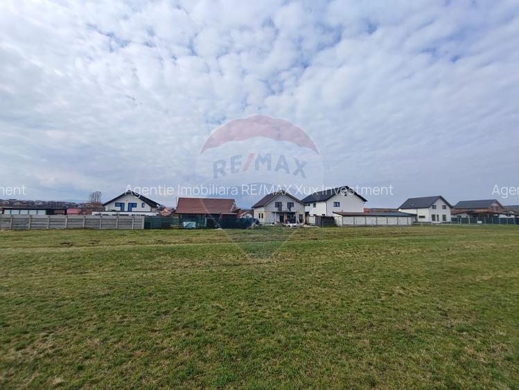 Teren de vânzare – 1600 mp – Șura Mică - 2