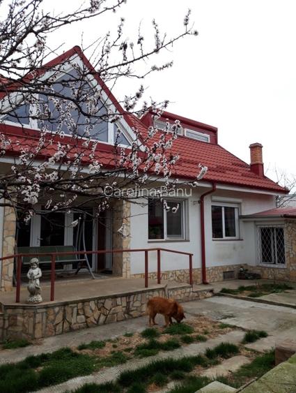 Vând casă cochetă  în Roșiori de Vede  - 2