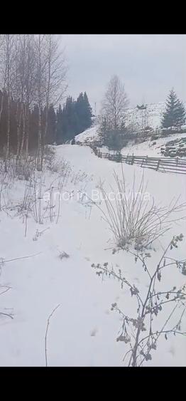 Vindem teren 8179 mp langa padure - 3