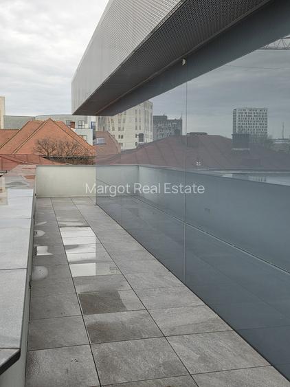 Elegant Top-Floor Apartment with Panoramic Terrace near Victoriei Avenue - 17