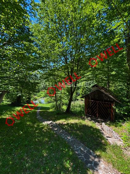 Cabana deosebită de vânzare între Valea Zălanului și Malnaș! - 8