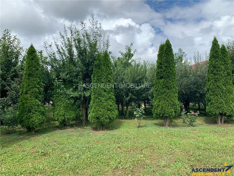 Teren intravilan 1.409 mp, livada, utilitati disponibile – ideal rezidential sau - 6