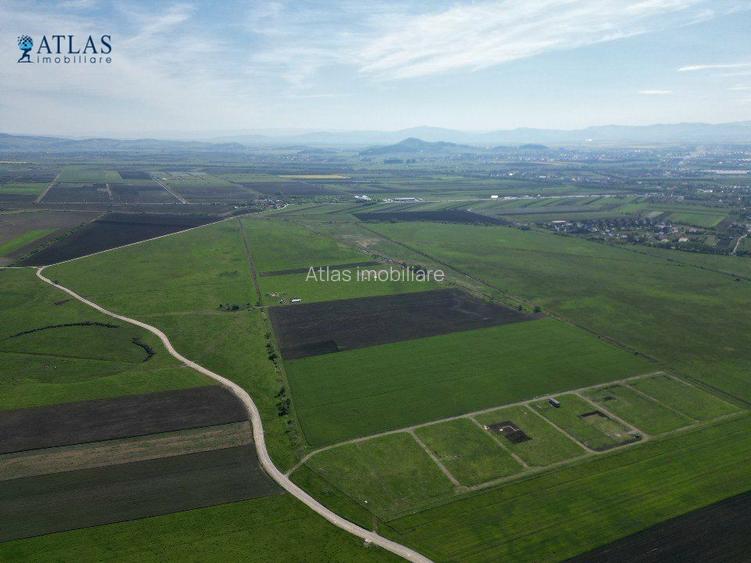 Investitie! 43.100 mp intravilan, 3 loturi, accesibil din str. Barsei, Stupini - 2