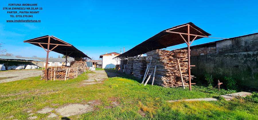 Complex imobiliar format din cladiri si constructii industriale+teren intravilan - 9