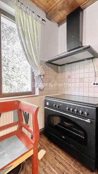 Complex de 3 case pe 18000 mp teren - 8