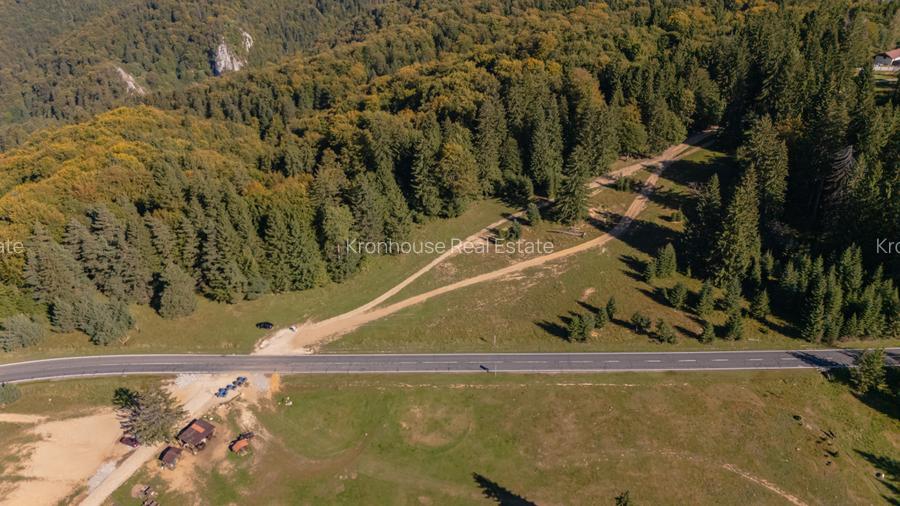 Teren premium pentru dezvoltare de lux – Drumul Poienii, Brasov - 11