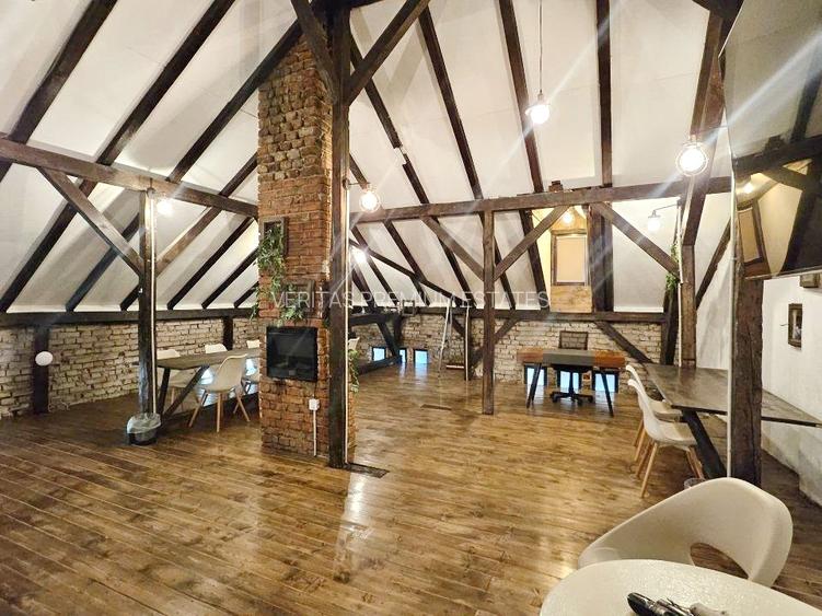 Vila  cu prestanta de inchiriat Cismigiu Calea Victoriei, curte generoasa - 19