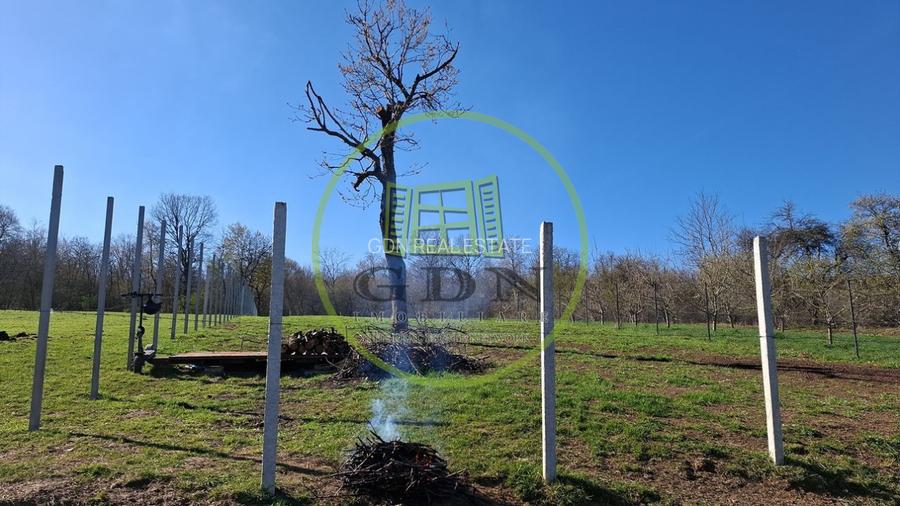 Teren intravilan de vânzare | 809 mp | – Tropinii Noi, Sibiu - 4