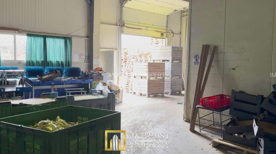 Hala industrială de vanzare Arad 540 mp, depozitare la rece, acces TIR - 4