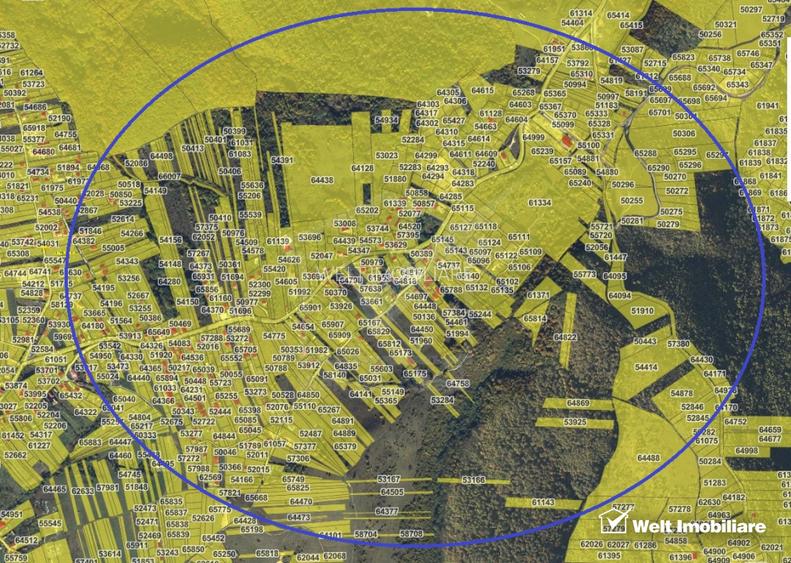 Teren intravilan, Front 31m,  Salicea - 3