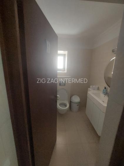 Ultracentral - cladire emblematica D+P+1+M, 430 mp., curte 200  mp. - 23