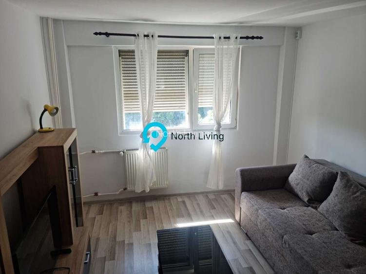 Apartament 2 Camere Dr Iacob Felix | Victoriei Ideal Investitie - 2