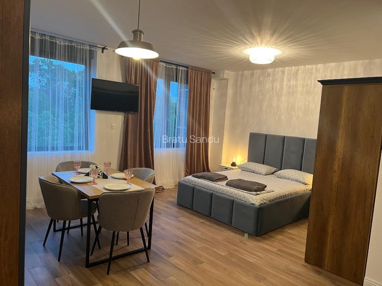 Vand apartament 1 camera, Park Residence, mobilat si utilat - 7