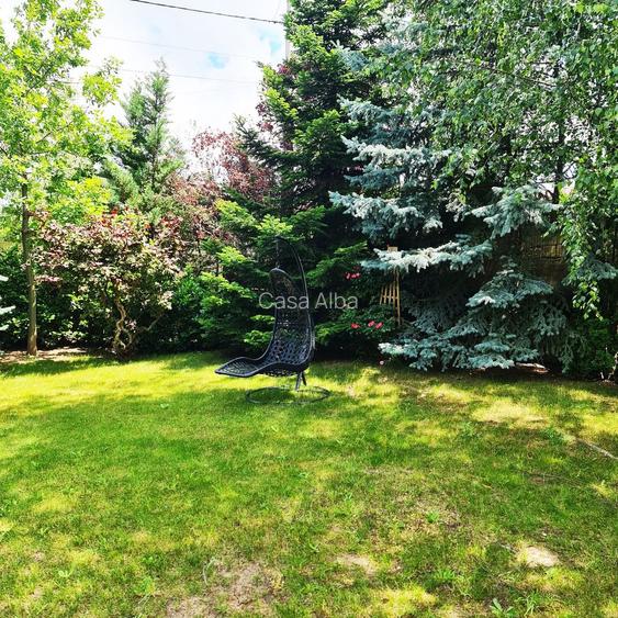 Bucium | locuinta impunatoare | refugiu al linistii si rafinamentului - 22