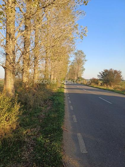 Lipia deschidere la DJ 101B ( Snagov-Nuci) - 8