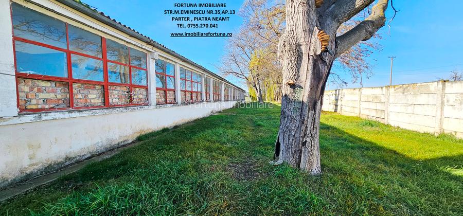 Complex imobiliar format din cladiri si constructii industriale+teren intravilan - 4