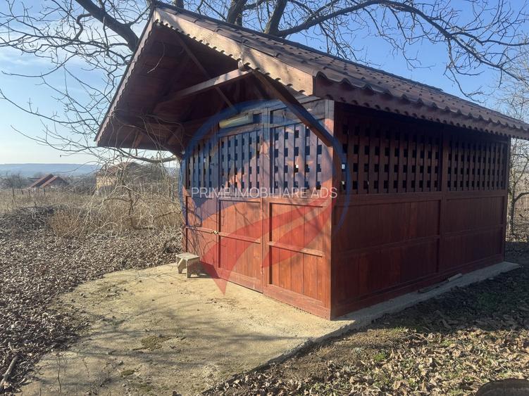 Proprietate deosebita in Filiasi - 22