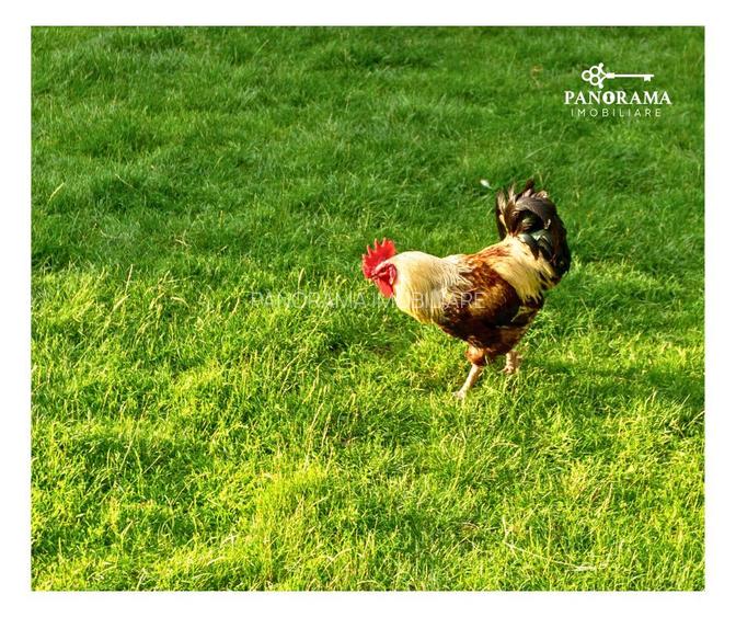 Afacere turistică „La Cheie” în inima Mărginimii Sibiului - 48