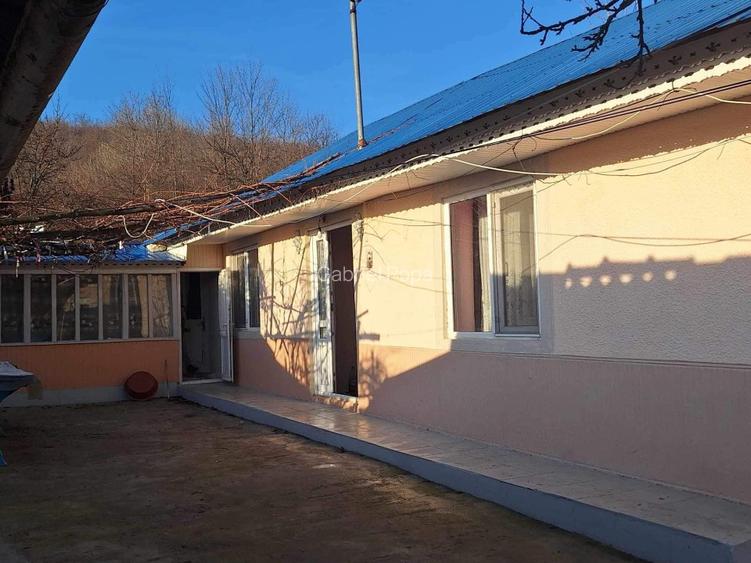 Casa de vanzare in Horga, comuna Epureni - 14