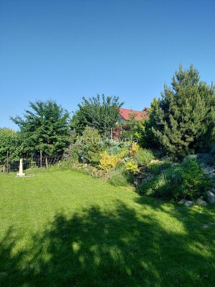 Casa individuala cu teren 750mp, garaj, beci, terasa - Dezmir, zona centrala - 13