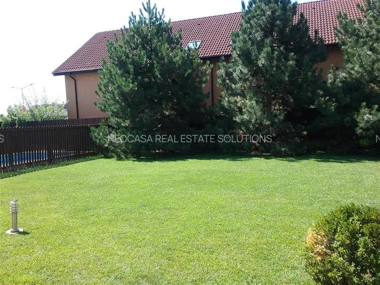 IANCU NICOLAE, S+P+1, 6 CAMERE, 410 MP, PISCINA, CURTE SUPERBA! - 20