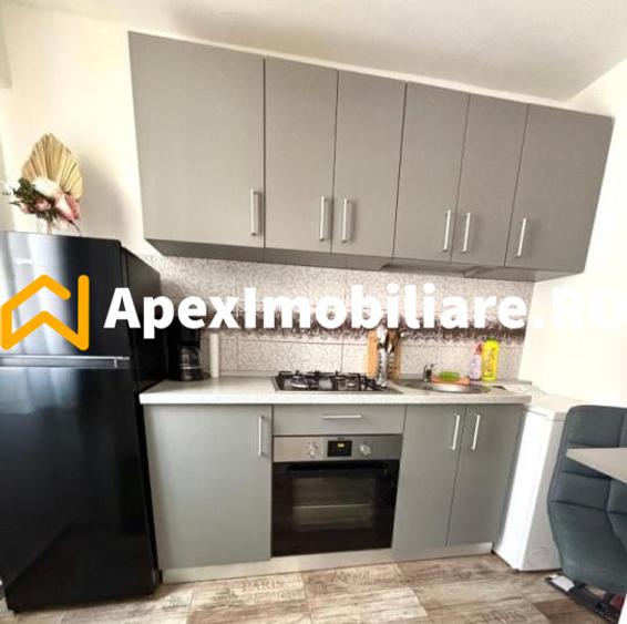 Garsoniera de inchiriat Teiul Doamnei București | ApexImobiliare.ro - 6