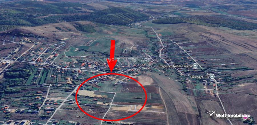 1500 mp front de 17,5 metrii - Teren cu potential excelent in Salicea - 6