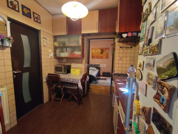 Apartament Ultracentral, Podul Centenarului, sub 1400 euro/mp - 8