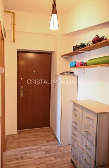 Vanzare garsoniera Titan- Burnitei, centrala, bloc 2013 - 4