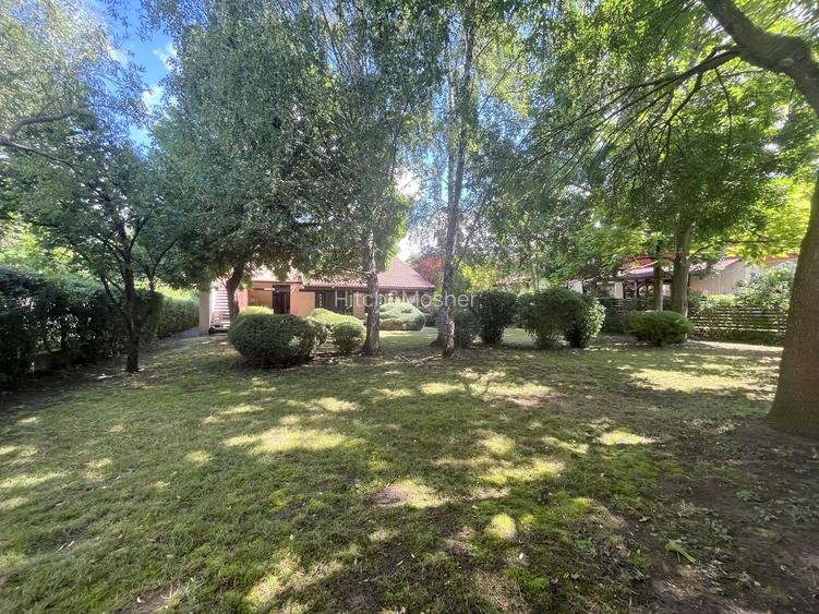 Casă individuală de închiriat în zona Crișan - 35