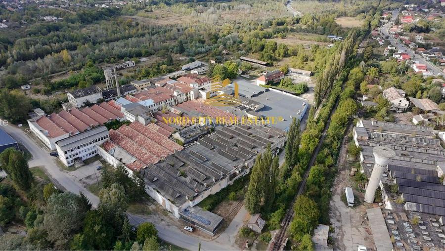 Platforma Industriala-8 ha -Fabrica-Hale Productie-21.500 mp - 4