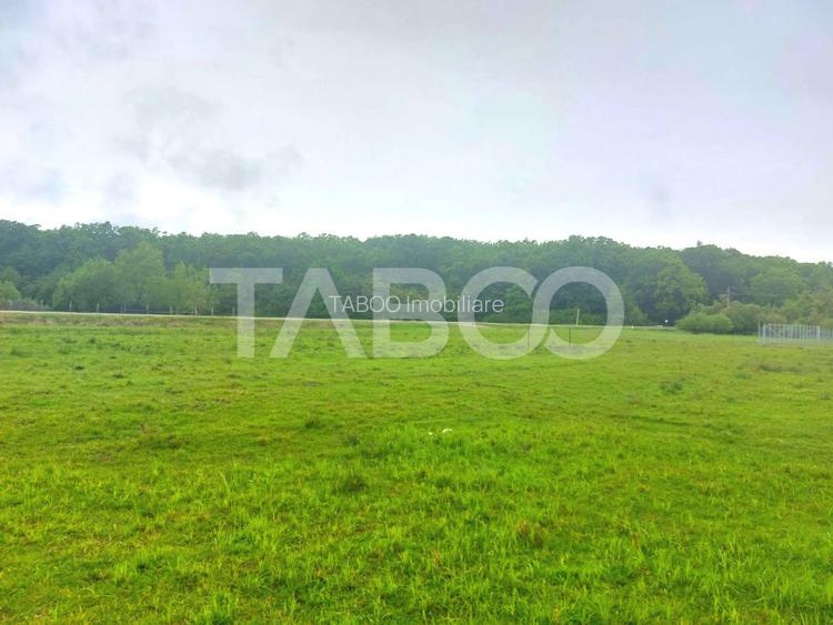 Teren intravilan 712 mp PUZ APROBAT aproape de DJ zona Versailles - 4