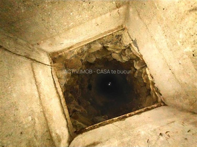 Ciclova, Casa cu Spatiu Comercial la Sosea, ZERO COMISION - 33