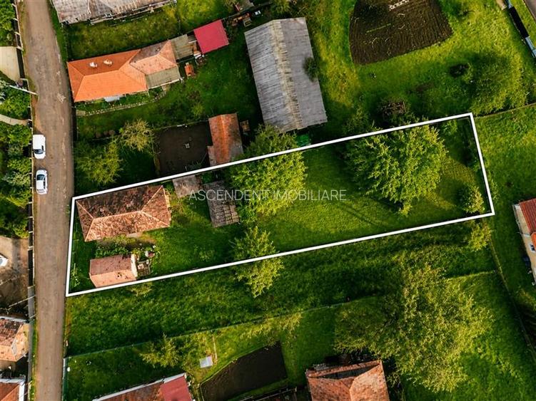 FILM! Gospodarie cu atmosfera traditionala,1.032 mp de verde si gradinarit, Sanz - 10