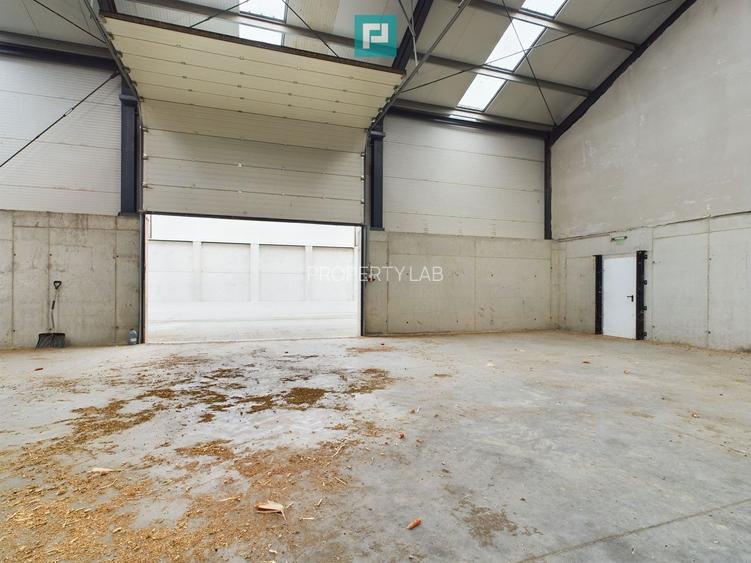 Hală industrială de 411mp Jebel, Timiș - 5