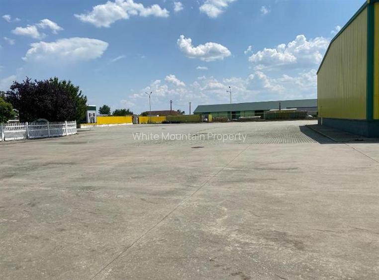 Pecica, 12000 mp platforma, inchiriere lunga durata, - 5