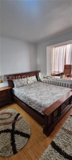 Apartament 4 camere, 2 bai, terasa - de inchiriat - Copou - 15